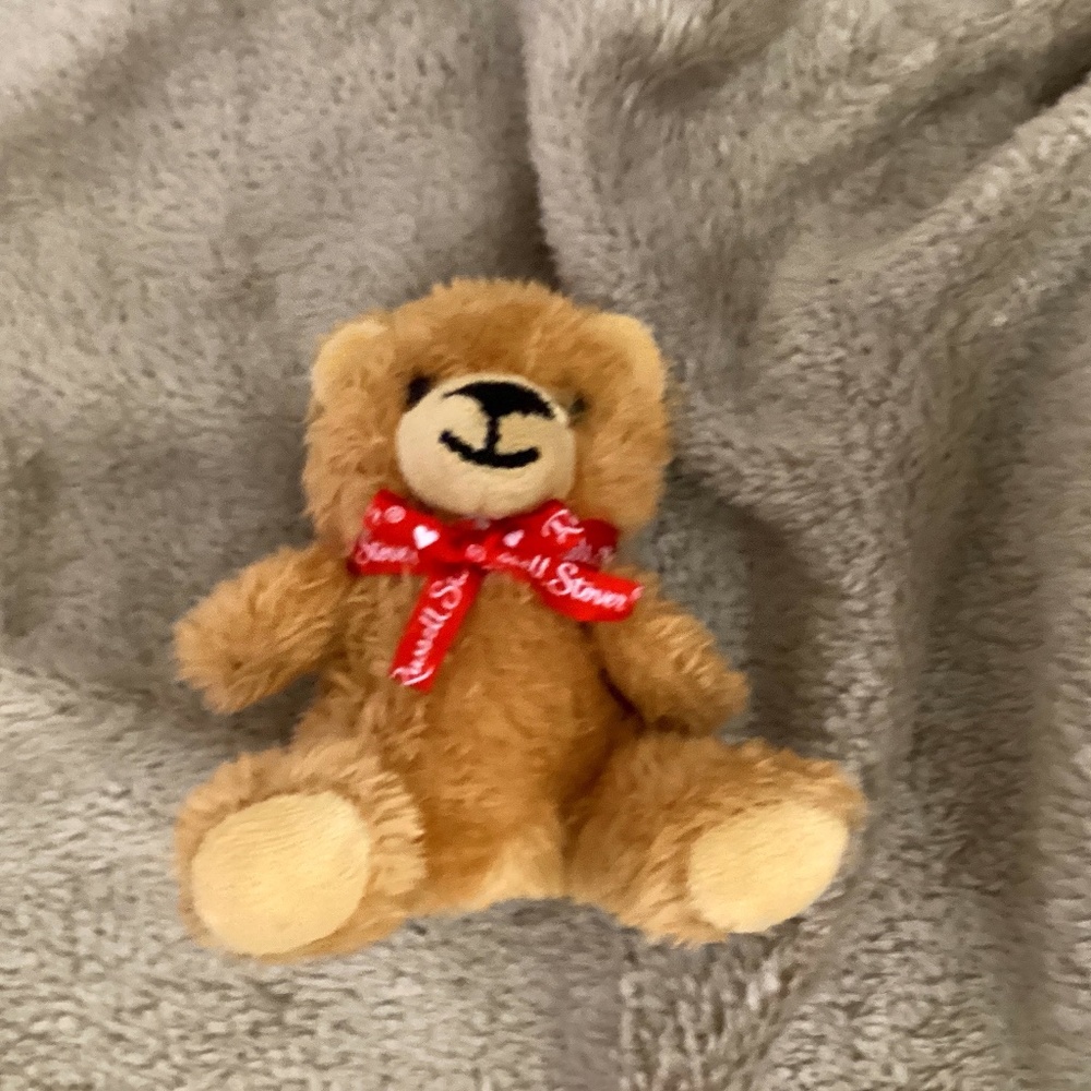 Cute Christmas bear